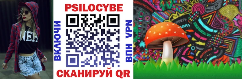 Галлюциногенные грибы Psilocybe  Псков 